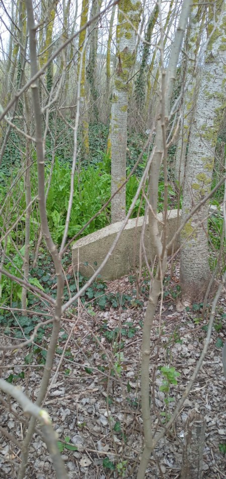 Oportunidad Vendo Terreno en San Eduardo de Chapadmalal