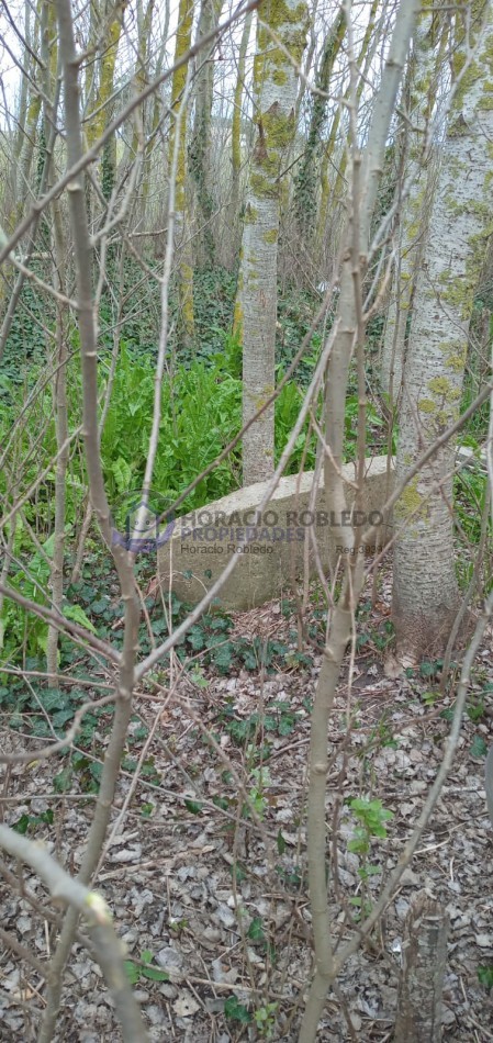 Oportunidad Vendo Terreno en San Eduardo de Chapadmalal