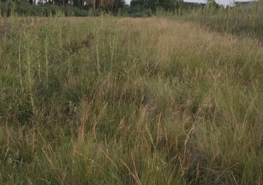 Oportunidad Vendo Terreno en San Eduardo de Chapadmalal